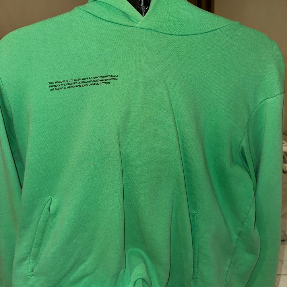 PANGAIA green hoodie